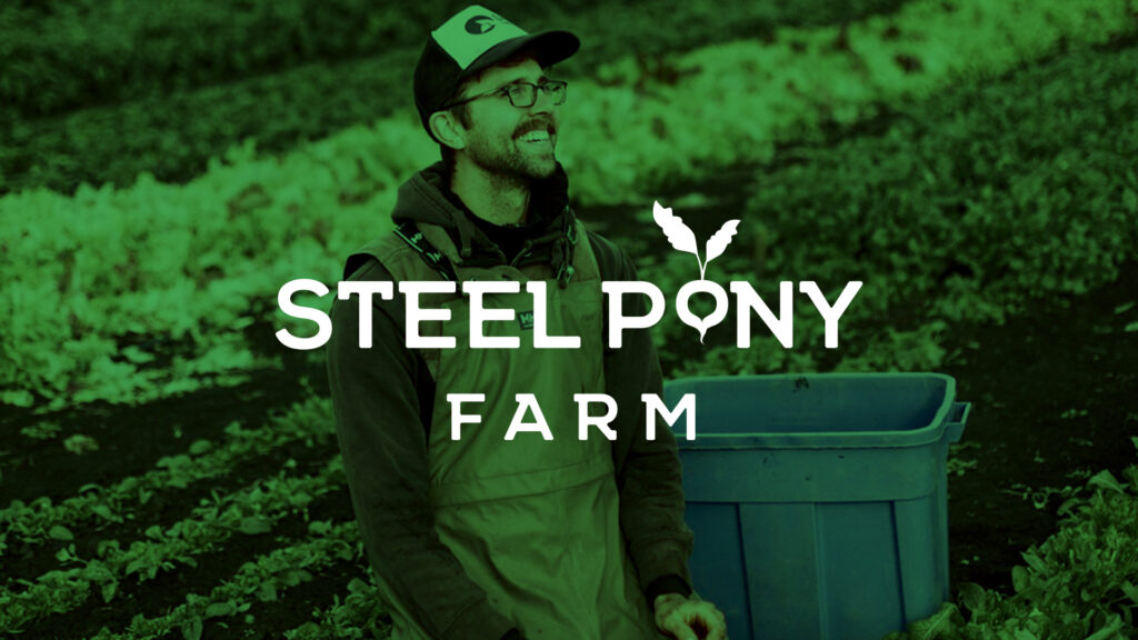 Steel Pony with Reaction Digital