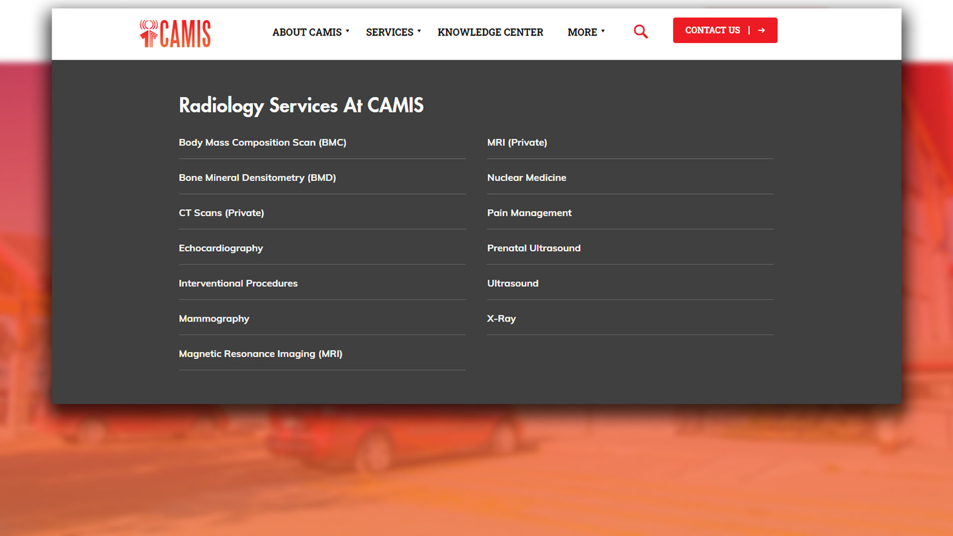A webpage header for 'CAMIS' with a navigation bar including 'ABOUT CAMIS', 'SERVICES', 'KNOWLEDGE CENTER', 'MORE', and a 'CONTACT US' button. The background is blurred, focusing attention on the clear, organized service offerings.